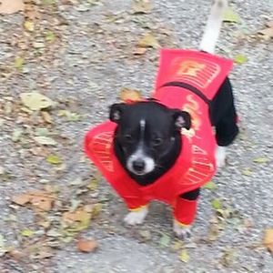 Meet your Posher, Alex